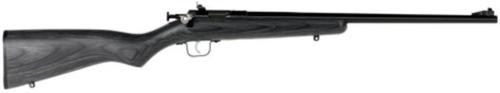 Keystone Sporting Arms, Crickett, Gen 2, Youth, Single Shot Rifle, 22 LR, 16.125" Barrel, Blue Finish, Black Laminate Stock, Adjustable Sights