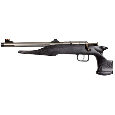 Chipmunk 40103 Hunter Youth Frame 22 LR Single Shot 9" Threaded Stainless Steel Barrel, Black Laminate Frame