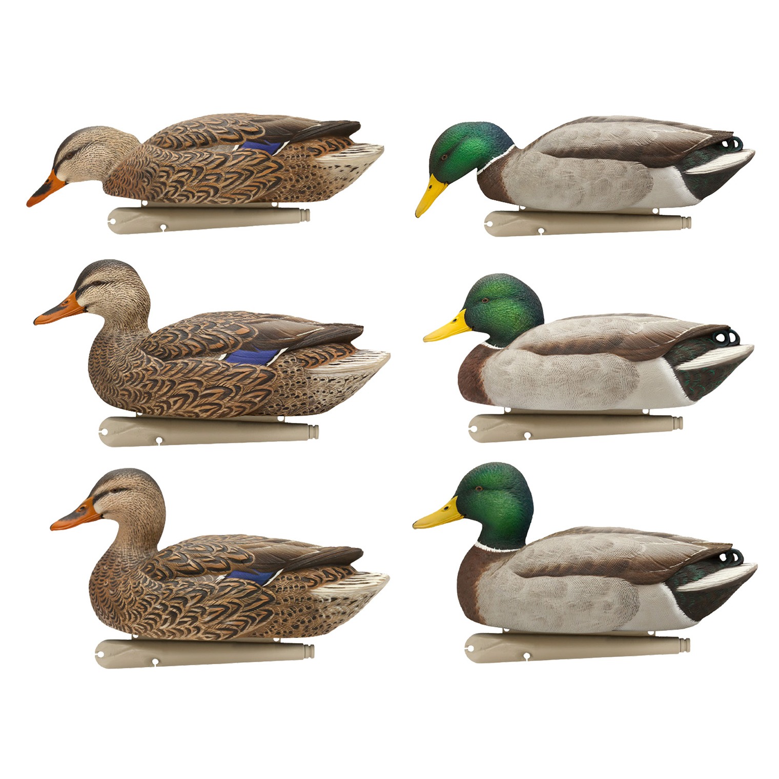Avian X AVXAVX8076 Topflight Fusion Mallards Multi-Color -6 Pack