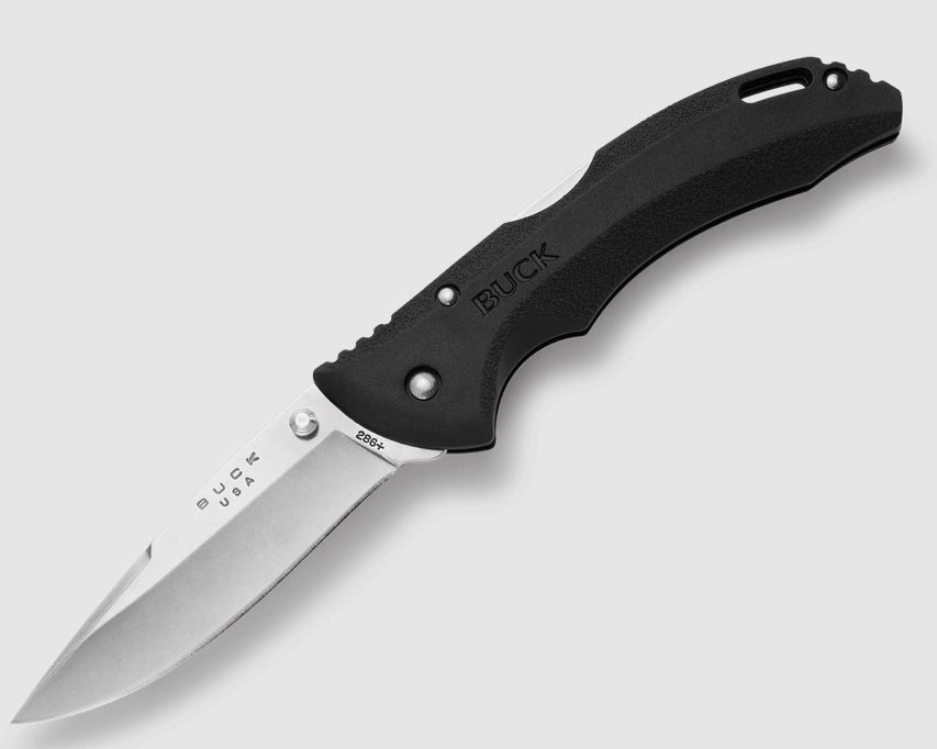 Buck Knives 0286BKS-B, 286 Bantam BHW Knife, Drop Point Blade, 420HC Steel, Black