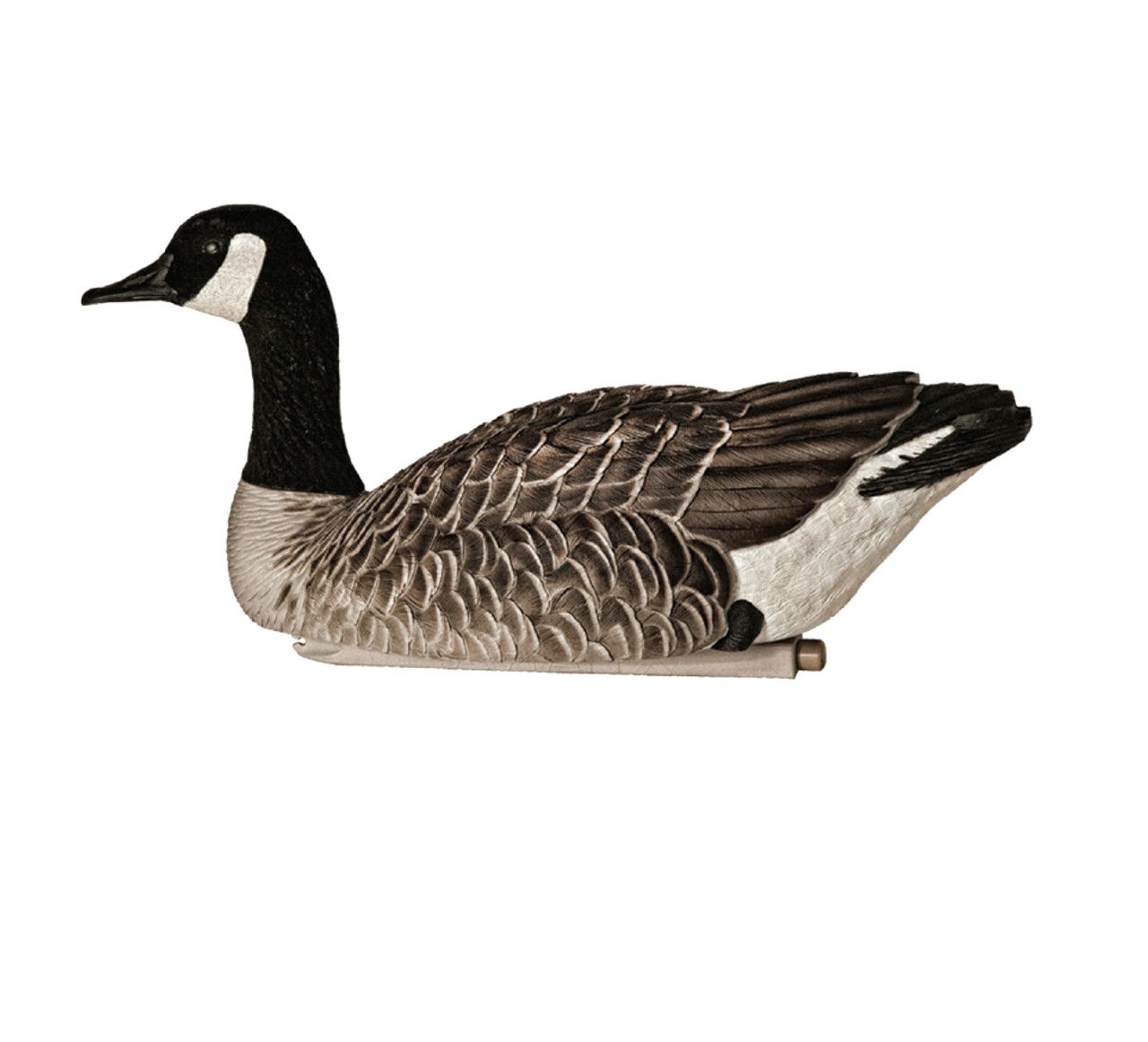 AVIAN X Topflight Honkers Decoys (AVX-AVX9040)