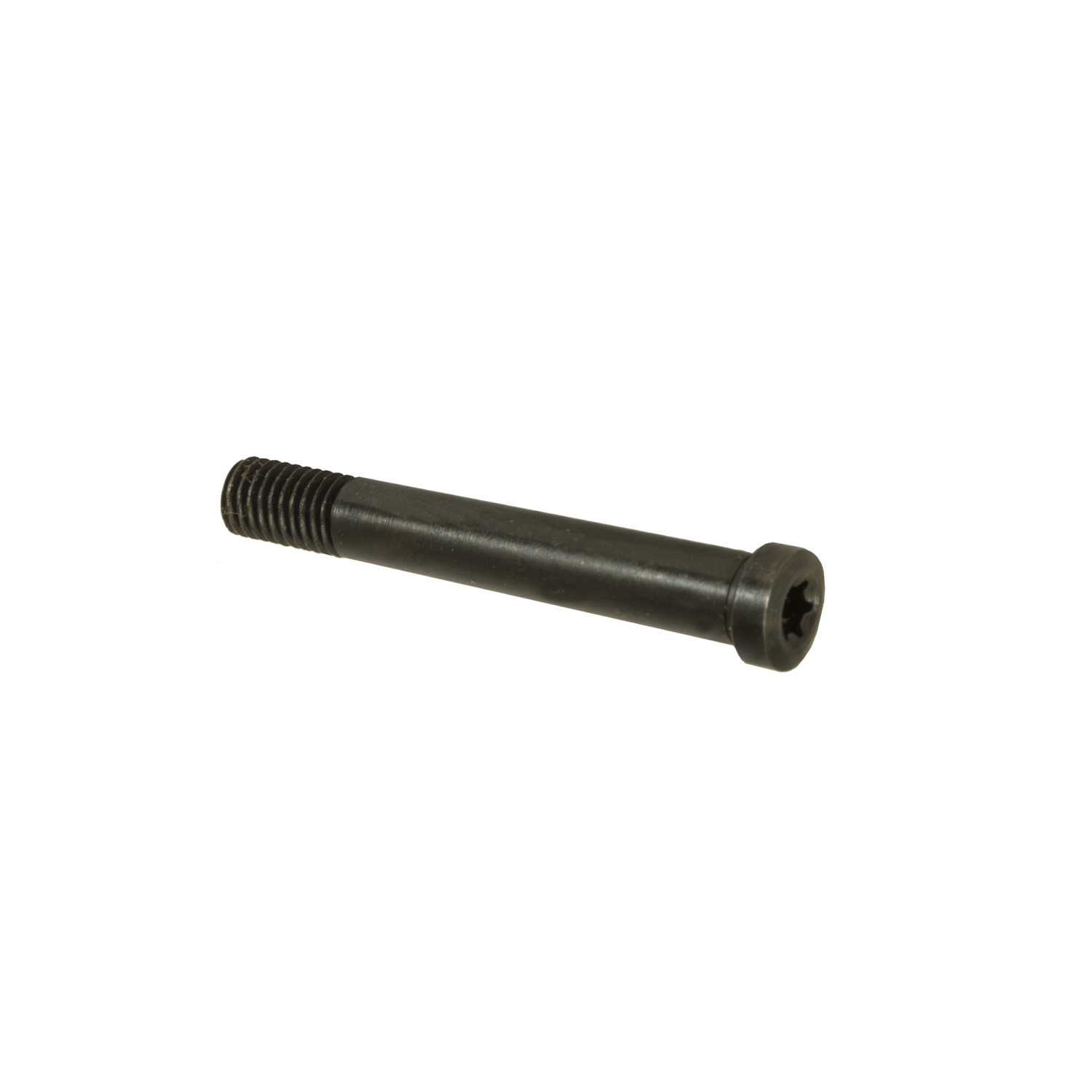 Marlin Tang Screw, Torx