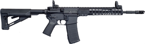 ArmaLite M-15 Tactical 223 Rem,5.56x45mm NATO 16" 30+1 Black Hard Coat Anodized Adjustable Magpul STR Collapsible Stock M15TAC14