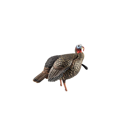 Avian X HDR Jake Turkey Decoy Multi Color AVXAVX8105