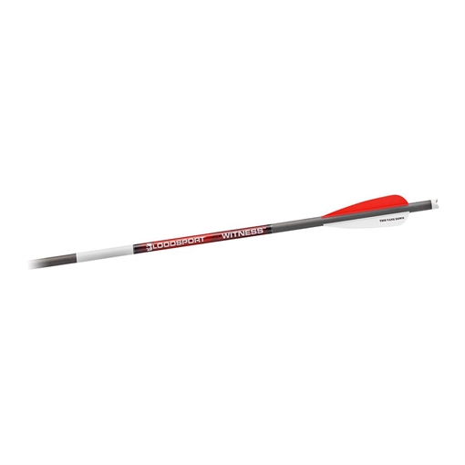 Bloodsport Witness Crossbow Bolt 22" 300 Spine 6/pk BLS-B8112053