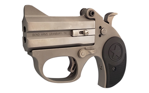 Bond Arms Stinger, Derringer, 22 LR, 3" Barrel, Stainless Steel, Silver, Nylon Grips, Fixed Sights, Manual Safety, 2 Rounds, With Trigger Guard BASRS-22LR BASRS - 22LR