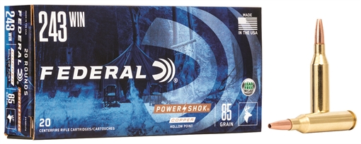 Federal Power-Shok 243Win 85gr Copper Hollow Point 20 Per Box/10 Case 24385LFA