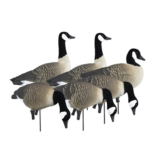 Higdon Outdoors APEX Full-Size Full-Body Variety Pack - Canada Goose 72237