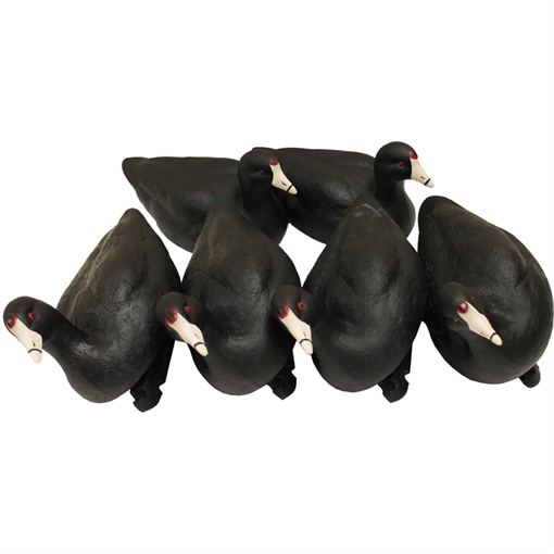Mojo Outdoors MOJO Coot Confidence Decoys 6 pk. HW2514