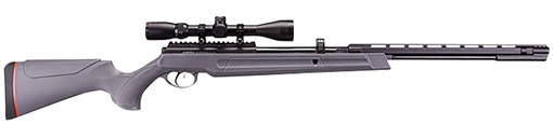 RWS/Umarex Synergis TNT Gas Piston 22 10rd Shot Gray All-Weather Stock 2251514