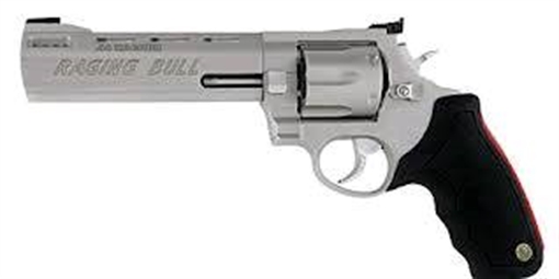 Taurus USA Raging Bull, Double Action/Single Action, Steel Frame Revolver, 44 Magnum, 6.5" Barrel, Stainless Finish, 6 Rounds, Adjustable Sights 2-444069 2444069