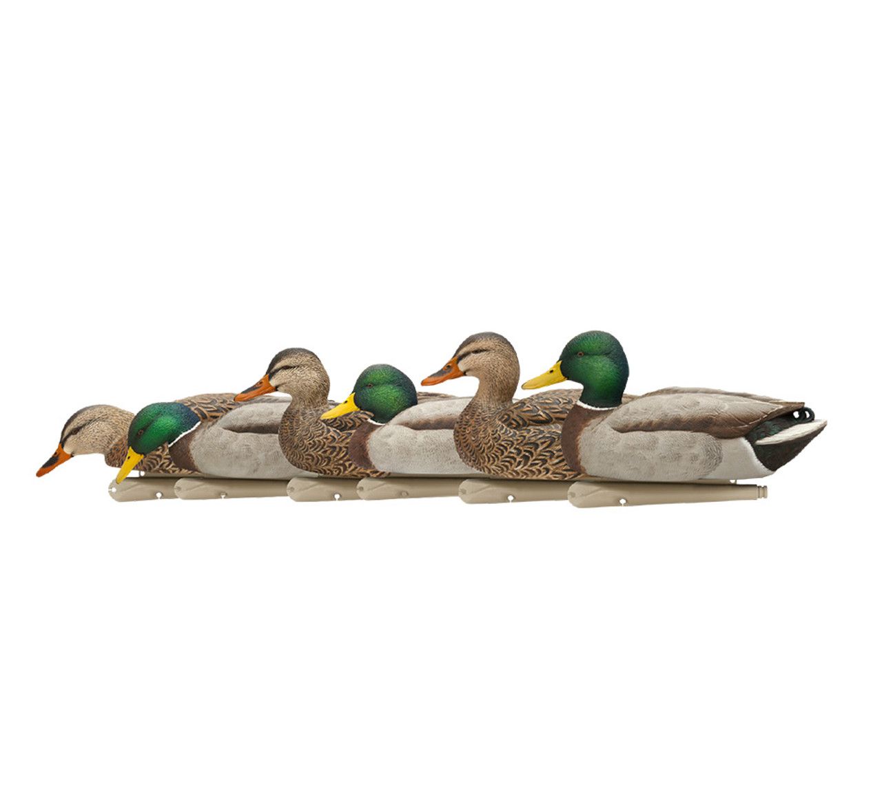 AVIAN X Topflight Fusion Pack Mallards (AVX-AVX8076)
